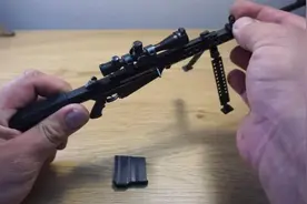 你可能见过最小的巴雷特视频封面