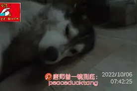 20221006唐师曾：大头死于癌症，食品安全？心情抑郁？