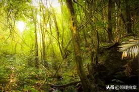 日本囤积资源是谣言？中国出口木材给日本，到底咋回事？视频封面