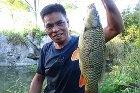 一米水深钓鲤鱼，二十分钟上五条，三叔吓懵了