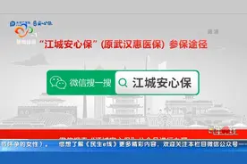 保险产品种类多，99元的“江城安心保”是否值得买？