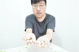 菠萝蜜种子可以吃，而且很好吃，小伙亲身试验视频封面