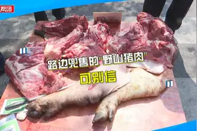 路边兜售正宗“野味”？面对执法人员，摊贩一改口径否认肉品来源
