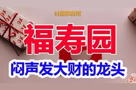 毛利率比肩贵州茅台，门槛极高，福寿园，闷声发大财的行业龙头视频封面