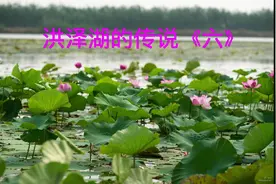 中国地方故事：洪泽湖的传说视频封面