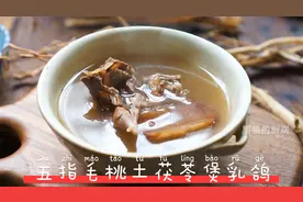 广东靓汤：五指毛桃煲乳鸽，清热解毒又祛湿，一家大小都爱喝
