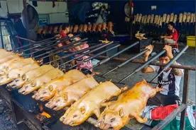 人称“烧猪王”，专卖刚满月的小猪仔，388元1只，一天能卖500只视频封面