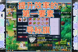 梦幻西游提升效率之一导标旗视频封面