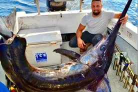 惊奇！镜头记录全过程，澳大利亚渔民海钓巨型剑鱼，重达180公斤视频封面