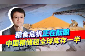 中国粮食储备达全球库存一半以上，风险却临近，美国坑了中国一把视频封面