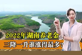 湖南今年养老金调整方案公布！三降一升，哪些人养老金涨的最多？视频封面