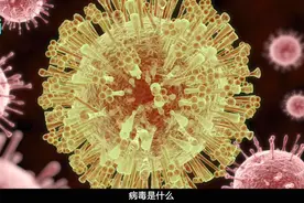 病毒是如何从一个细胞蔓延全身的？这段动画，展示病毒繁殖全过程