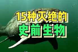 15种史前灭绝动物，每一种都是食物链顶端的存在，堪称完美