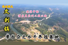 航拍广西灵山县文利镇，县境最南端的一个边陲小镇