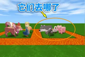 迷你世界更新：被删除的生物去哪了 更新后对老玩家来说过分了吗