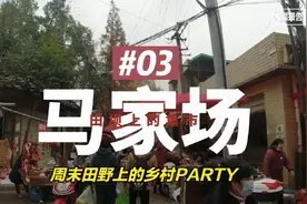成都最土的集市，周末去逛田野上的乡村party@人间集市03马家场集视频封面