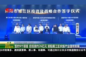 成都：签约9个项目　总投资约26亿元　雁江区农旅产业蓬勃发展视频封面