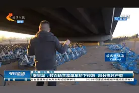 秦皇岛：大片共享电动车停放在大桥下，近百辆遭到破坏被遗弃