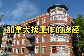 加拿大找工作有哪些途径？视频封面