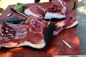 路边卖山猪肉的，才15元1斤，看看是不是真的