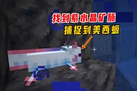 1.17我的世界47：找到紫水晶矿脉，捕捉到美西螈，老迪收获颇丰