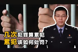 犯罪几次属于是累犯？累犯和惯犯有什么区别，又该如何惩罚呢？视频封面