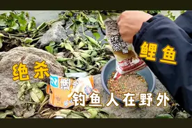 你们还在为冬季钓不到鲤鱼感到烦恼吗?来看看我的饵料搭配,好用视频封面
