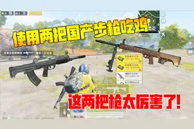 何必挑战篇：挑战使用两把国产步枪吃鸡！这两把枪太厉害了！视频封面