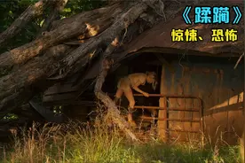美女身处荒郊野岭遭遇追杀，与坏人斗智斗勇，惊悚恐怖电影视频封面