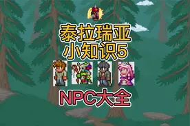 【泰拉瑞亚小知识5】NPC大全.mp4