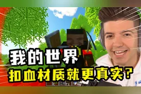 我的世界：扣血材质就会更真实？受伤边框会变红，角色贴上大头照