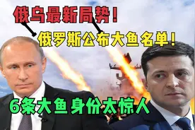 俄乌最新局势！俄罗斯公布大鱼名单！6条大鱼身份太惊人视频封面