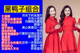 黑鸭子组合温柔情歌精选24首大联唱，太好听了！