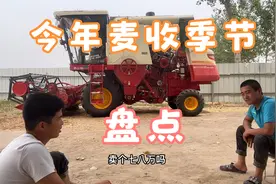 农村麦收季，小伙15万买收割机，盘点今年挣了多少钱，几年能回本视频封面
