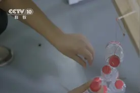 三根细小的火柴棍，竟能吊起6瓶水？来看这背后的奥秘|科技之光视频封面