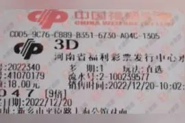 12月20日3D晒票欣赏视频封面