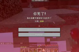 我的世界1.15蜜蜂大更新生存：2   三连苦力怕，炸的不要不要的