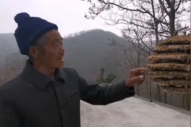 焦作太行长岭蜂巢人家展示马蜂窝自然天成结构 谁曾想却蜂巢鹊占