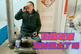 天寒地冻，农村烧煤取暖被禁止了吗？煤炭也贵，农民为啥还要用视频封面