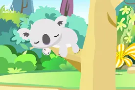 树袋熊原来不是熊？视频封面