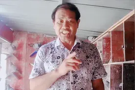 鸽子精神正常粪便正常食欲减退是怎么回事？我们又该如何应对