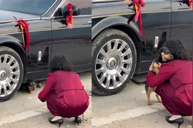 女主人出嫁当天，狗狗拦住婚车不让走，网友：万物皆有灵视频封面