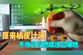 原来橘子皮里的汁液不但可以燃烧，还存在爆燃情况，长见识了。视频封面