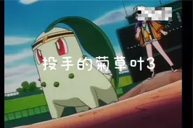 投手的菊草叶视频封面