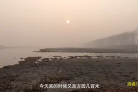 就是这种老头乐钓法，专治鱼不开口，台钓高手也要被轻松拿捏视频封面