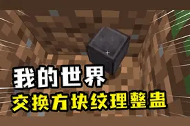 我的世界：交换方块纹理整蛊，下界合金块实际上是泥土