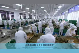 65岁的人干点什么？这4种工作不脏不累，还能每月入账6000视频封面