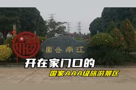 探老南宁几十年工业辉煌变迁，飞燕牌万力啤桂花表你还记得几个？视频封面