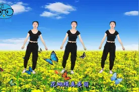 广场舞《花蝴蝶》清新美丽一支舞，似蝶翩翩丛中飞，花也为你美视频封面