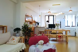 70后阿红的退休慢生活，不用朝九晚五，享受一人一狗的悠闲时光